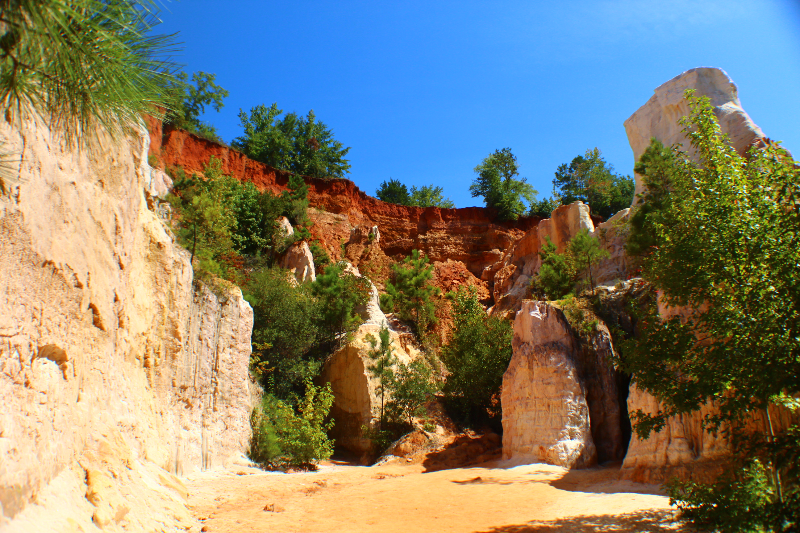 Rich result on Google's SERP when searching for 'Providence Canyon State Park' or 'Providence Canyon'