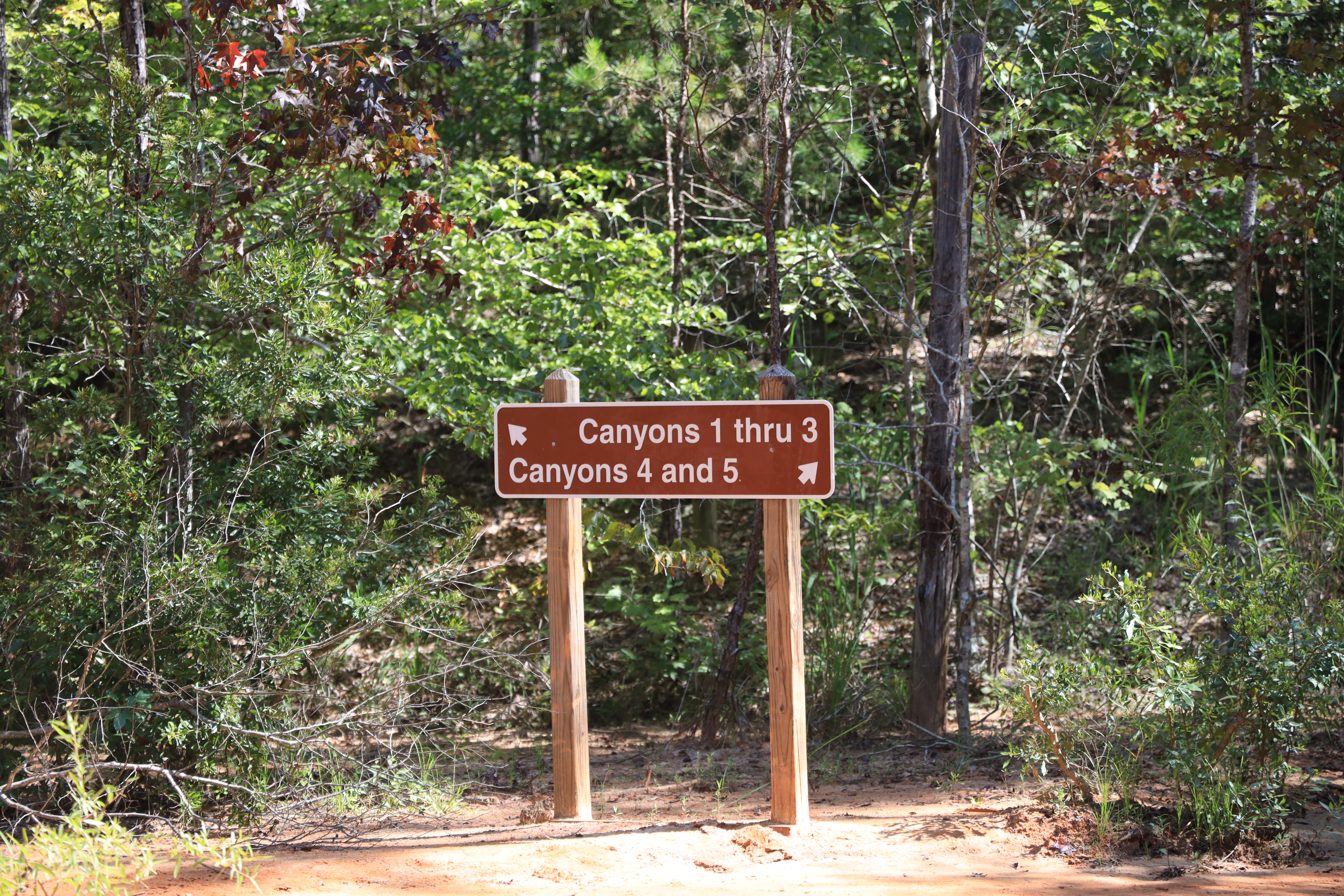 Rich result on Google's SERP when searching for 'Providence Canyon State Park' or 'Providence Canyon'