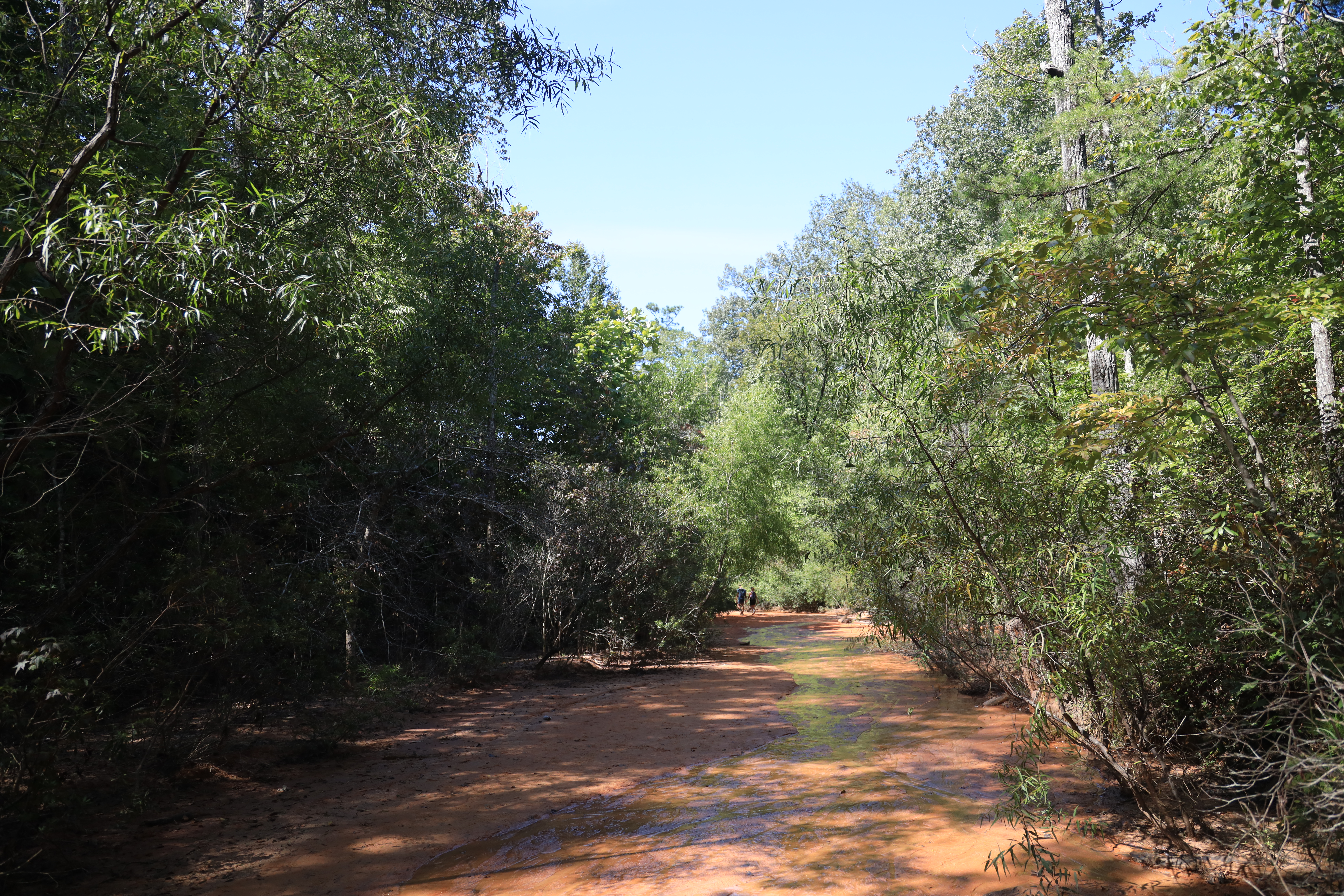 Rich result on Google's SERP when searching for 'Providence Canyon State Park' or 'Providence Canyon'
