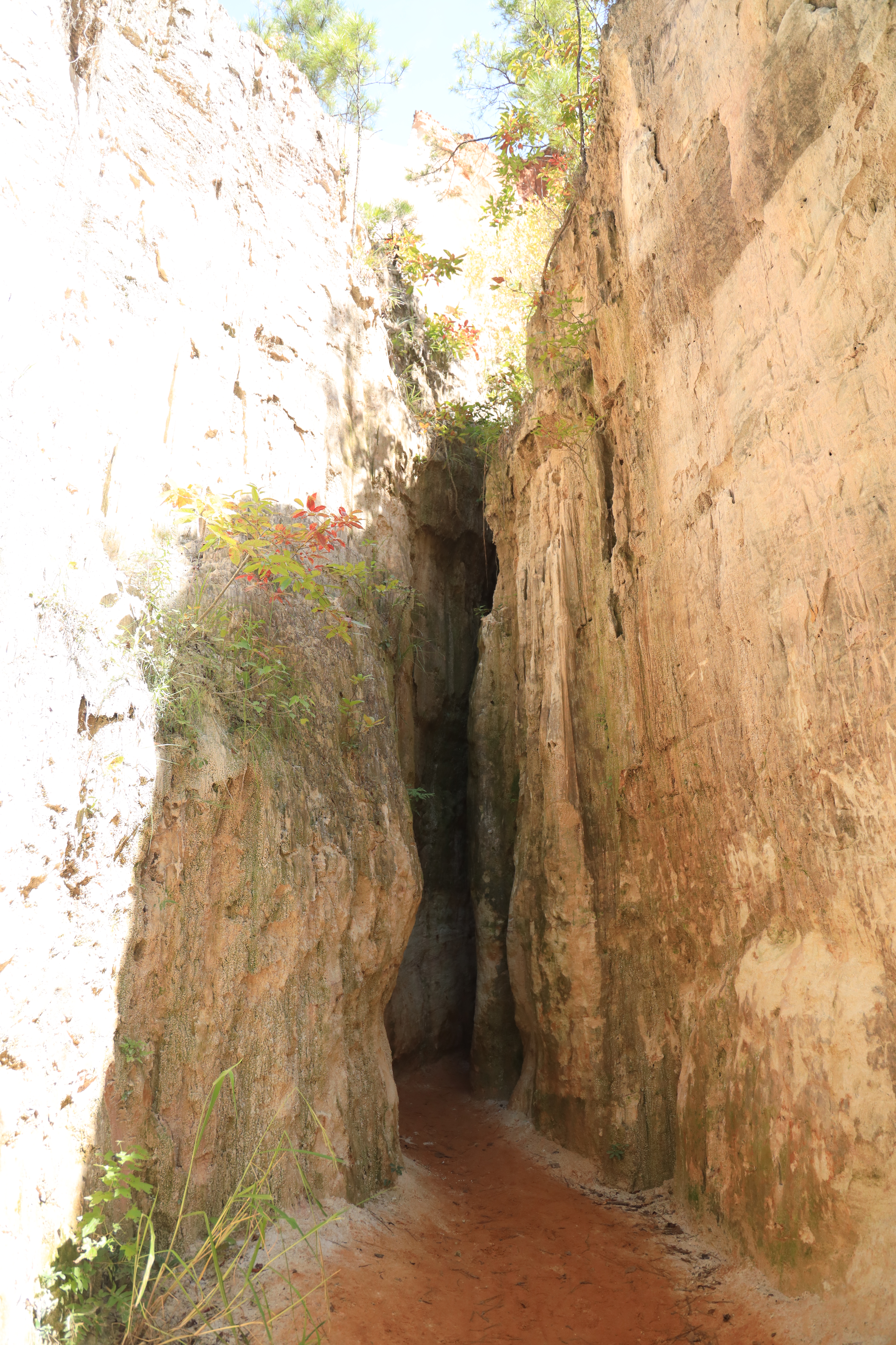 Rich result on Google's SERP when searching for 'Providence Canyon State Park' or 'Providence Canyon'
