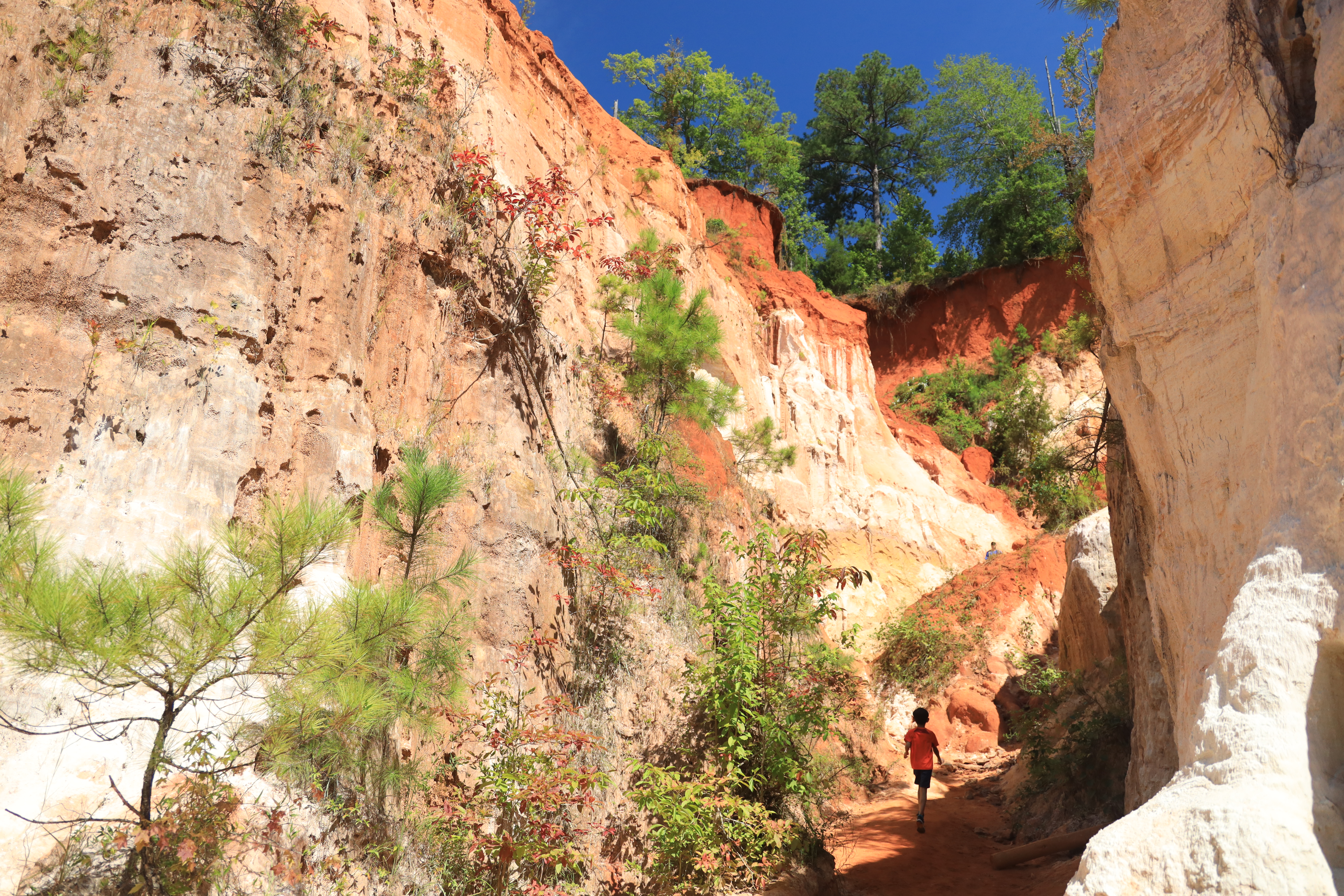Rich result on Google's SERP when searching for 'Providence Canyon State Park' or 'Providence Canyon'